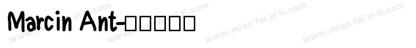 Marcin Ant字体转换